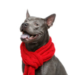 Scarf -Red (Big Dogs only)