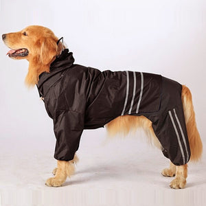 Jogging Suit
